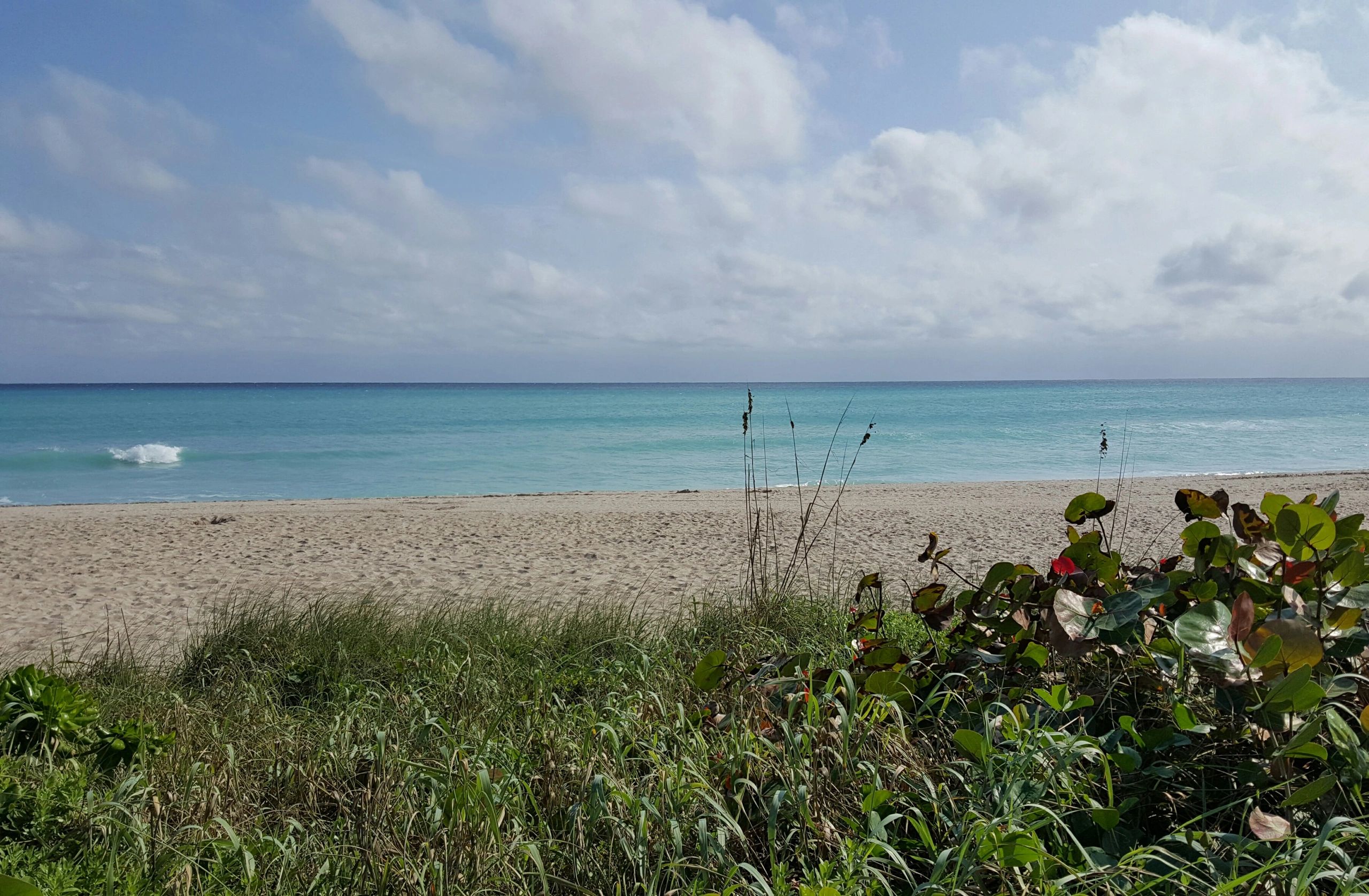 Delray Beach, FL Crematory - Anago Cremations